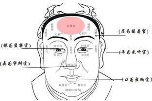 人中形狀|怎麼看人中？深入解析人中在面相學中的意義